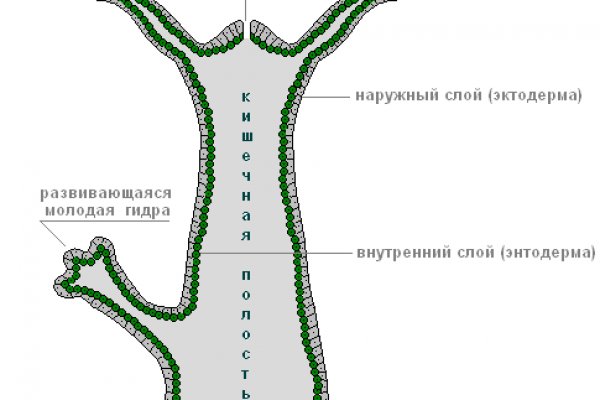 Где взять ссылку на кракен