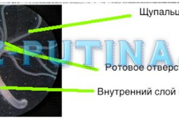 Kraken shop ссылка