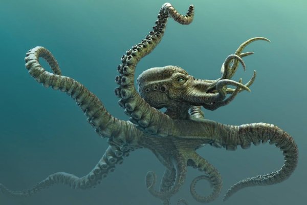 Kraken cc