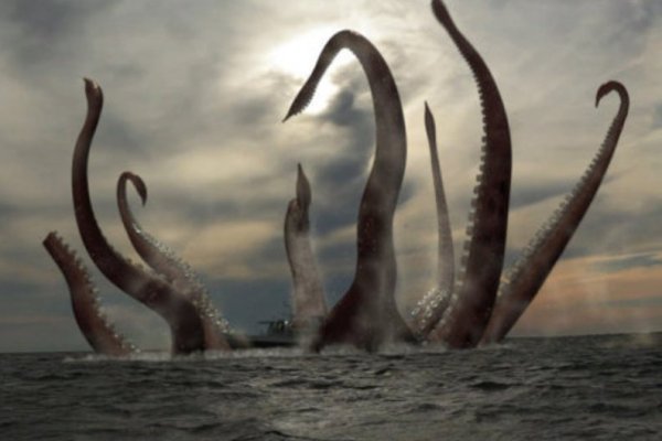 Kraken at зеркало