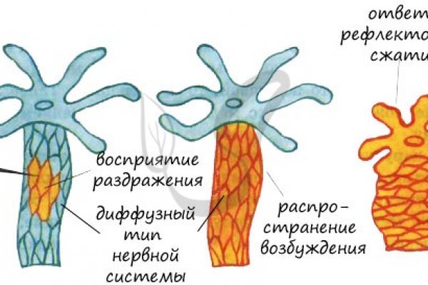 Кракен сайт 2krnk