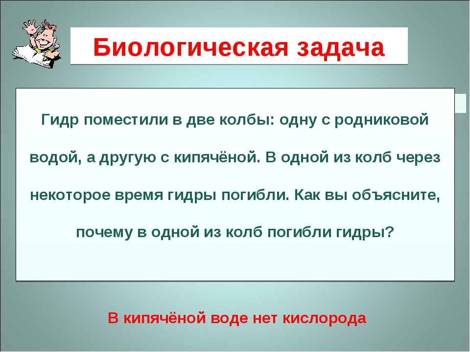 Кракен сайт официальный onion