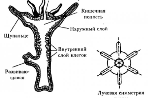 Открыть даркнет