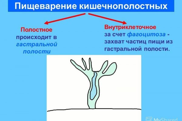 Кракен ссылка зеркало