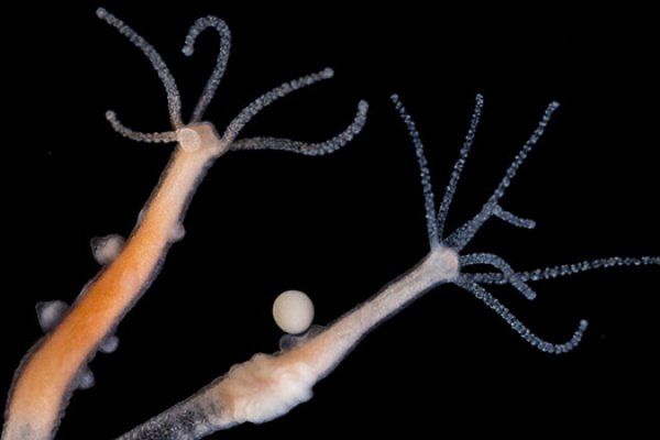 Kraken зеркала kr2web in