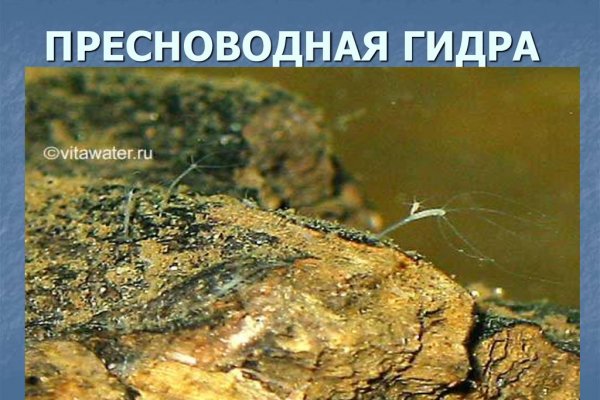 Рабочее зеркало кракен