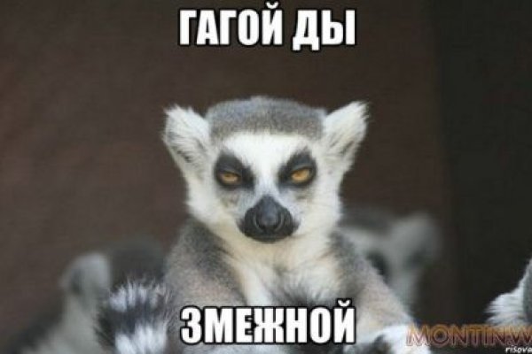 Кракен вход ссылка kraken torion net