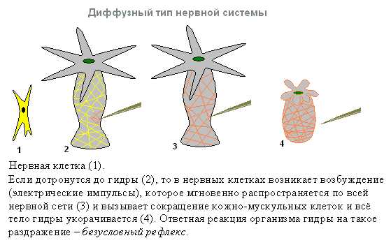 Кракен рабочая ссылка на сайт